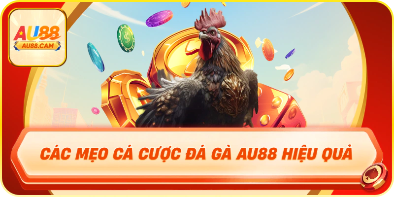 Các mẹo cá cược đá gà au88 hiệu quả